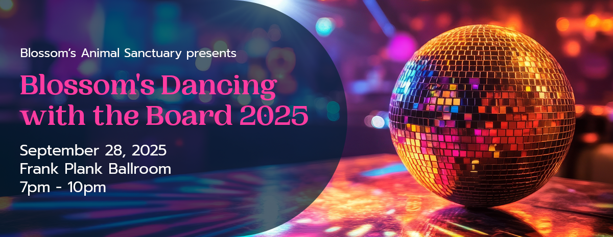 Blossom's Dancing with the Board 2025